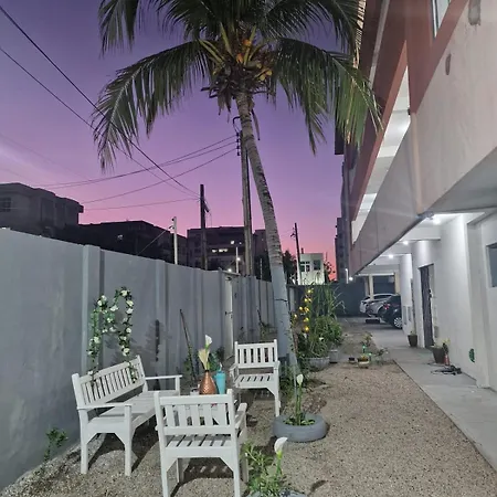 Ap Next Croco P Of The Future 2bwc * Fortaleza (Ceara)